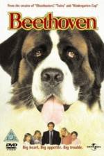 Watch Beethoven FMoviesFree