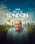 Watch Wild London (TV Special 2026) FMoviesFree
