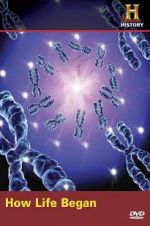 Watch How Life Began FMoviesFree