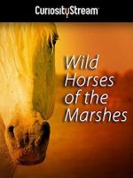 Watch Wild Horses of the Marshes FMoviesFree