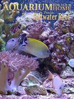 Watch Aquarium for Your Home: Saltwater Reef FMoviesFree