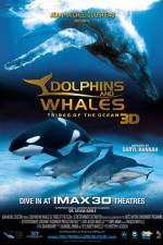 Watch Dolphins and Whales 3D Tribes of the Ocean FMoviesFree