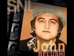 Watch Saturday Night Live: The Best of John Belushi FMoviesFree