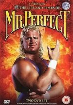 Watch The Life and Times of Mr. Perfect FMoviesFree
