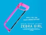 Watch Zebra Girl FMoviesFree