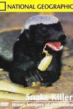 Watch National Geographic: Snake Killers Honey Badgers Of The Kalahari FMoviesFree