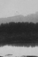 Watch Ch\'an FMoviesFree