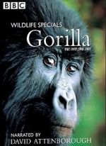 Watch Gorilla Revisited with David Attenborough FMoviesFree
