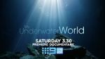 Watch My Underwater World (TV Special 2024) FMoviesFree