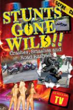 Watch Stunts Gone Wild: Crashes, Smashes & Road Rashes! FMoviesFree