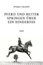Watch Pferd und Reiter Springen ber ein Hindernis FMoviesFree