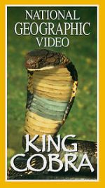 Watch King Cobra FMoviesFree