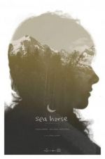 Watch Sea Horse FMoviesFree
