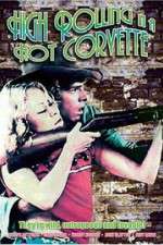 Watch High Rolling in a Hot Corvette FMoviesFree