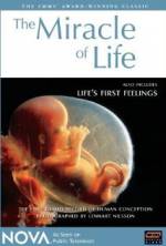 Watch The Miracle of Life FMoviesFree
