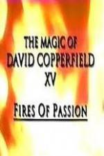 Watch The Magic of David Copperfield XV Fires of Passion FMoviesFree