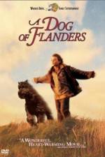 Watch A Dog of Flanders FMoviesFree
