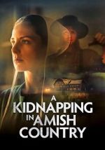 Watch A Kidnapping in Amish Country FMoviesFree