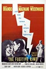 Watch The Fugitive Kind FMoviesFree