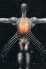 Watch Tool Salival FMoviesFree