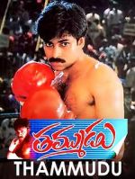 Watch Thammudu FMoviesFree