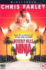 Watch Beverly Hills Ninja FMoviesFree