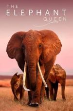 Watch The Elephant Queen FMoviesFree