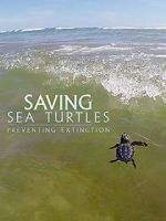 Watch Saving Sea Turtles: Preventing Extinction FMoviesFree
