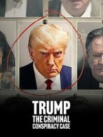 Watch Trump: The Criminal Conspiracy Case FMoviesFree