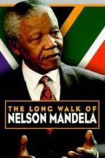 Watch The Diamond Empire FMoviesFree