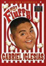 Watch Gabriel Iglesias: Hot and Fluffy FMoviesFree