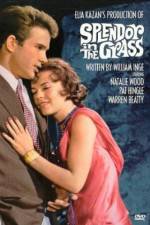Watch Splendor in the Grass FMoviesFree