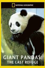 Watch National Geographic Giant Pandas The Last Refuge FMoviesFree