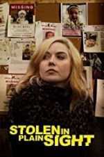 Watch Stolen in Plain Sight FMoviesFree