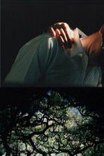 Watch The Hedge Theater FMoviesFree