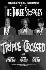Watch Triple Crossed FMoviesFree