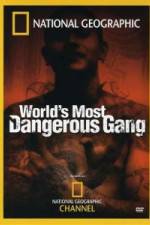 Watch National Geographic World's Most Dangerous Gang FMoviesFree