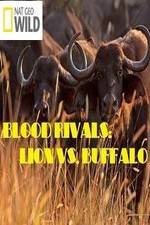 Watch National Geographic - Blood Rivals: Lion vs. Buffalo FMoviesFree