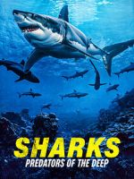Watch Sharks: Predators of the Deep FMoviesFree