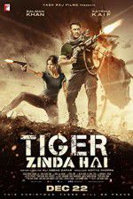 Watch Tiger Zinda Hai FMoviesFree