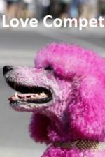 Watch The Love Competition FMoviesFree