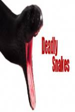 Watch National Geographic Wild Deadly Snakes FMoviesFree