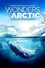 Watch Wonders of the Arctic 3D FMoviesFree