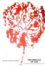 Watch The Miracle of Life FMoviesFree