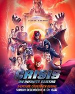 Watch Crisis on Infinite Earths FMoviesFree