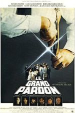 Watch The Big Pardon FMoviesFree