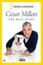 Watch Cesar Millan: The Real Story FMoviesFree
