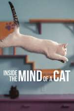 Watch Inside the Mind of a Cat FMoviesFree