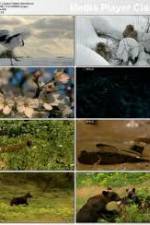 Watch National Geographic: Japans Hidden Secrets FMoviesFree