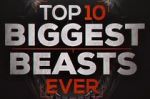Watch Top 10 Biggest Beasts Ever FMoviesFree